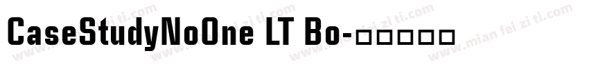CaseStudyNoOne LT Bo字体转换